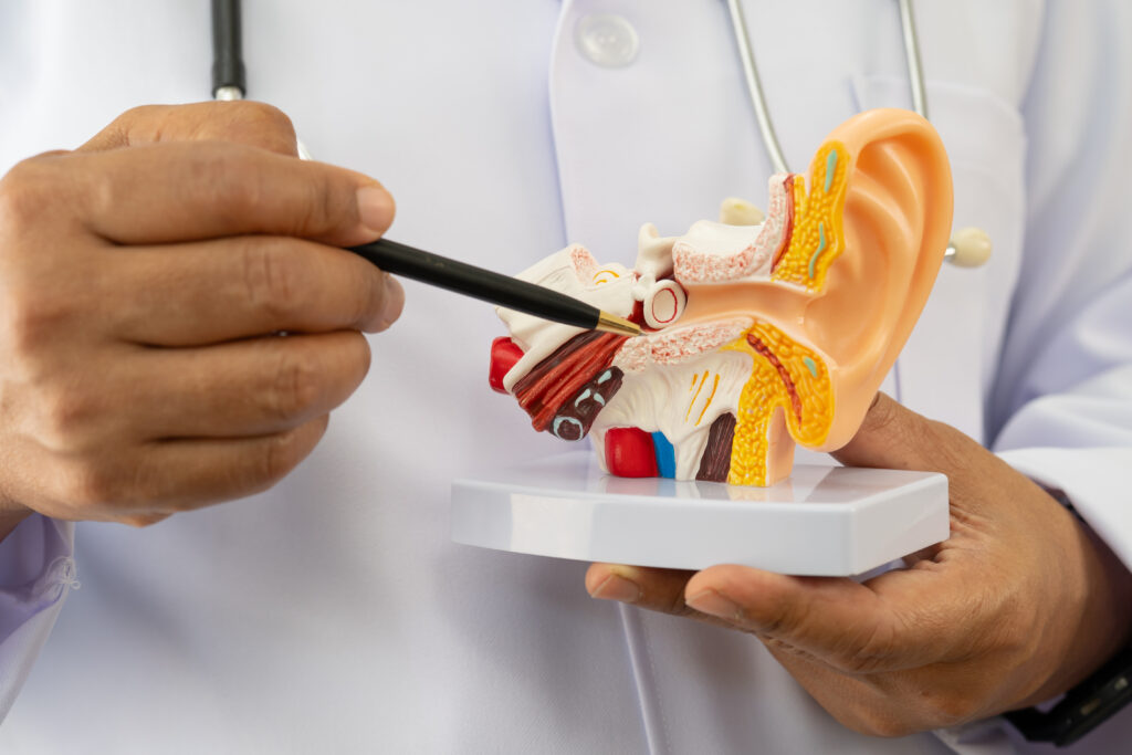 Tinnitus Ursachen – HNO-ärztliche Untersuchung bei Ohrgeräuschen